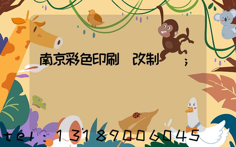 南京彩色印刷廠改制細節