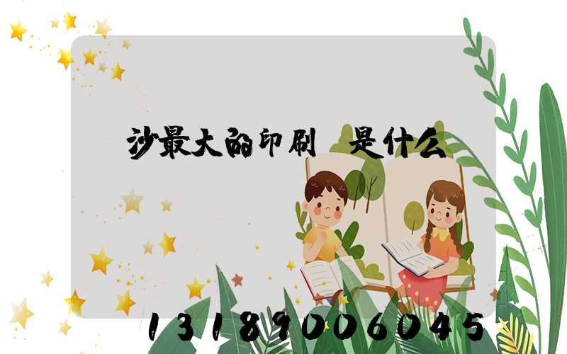 長沙最大的印刷廠是什么廠